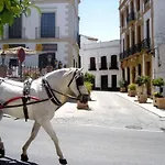 Retama *