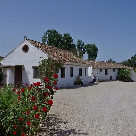 Retama * Ronda