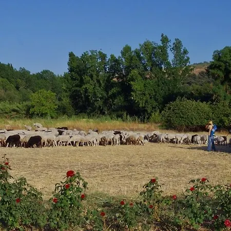 Holiday Finca Retama Hébergement de vacances